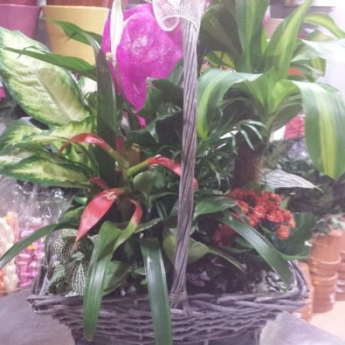 centros florales ciudad real